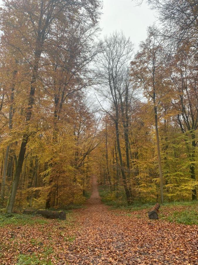 Detente Au Bord De Foret Avec Balneo Et Sauna Prive Apartment